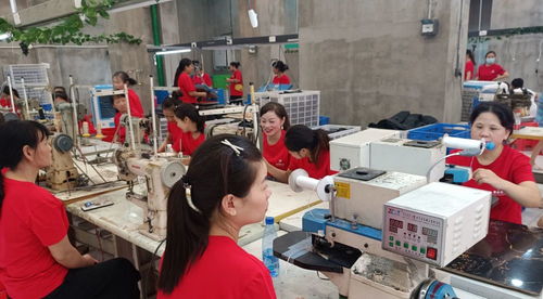 鞋履織就振興路 白沙鎮(zhèn)鞋廠三遷記與家政新風(fēng)